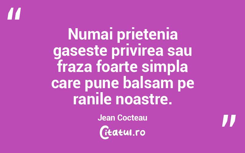 Numai prietenia gaseste privirea sau fraza foarte simpla care pune balsam pe ranile noastre. Jean Cocteau