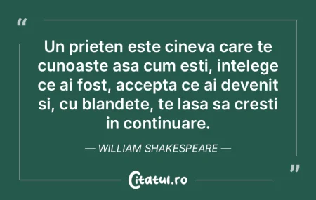 Un prieten este cineva care te cunoaste ...