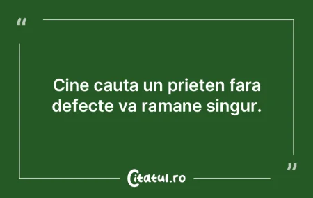 Cine cauta un prieten fara defecte va ra...