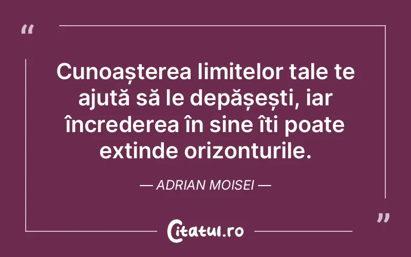 Citat Adrian Moisei - citate prietenie