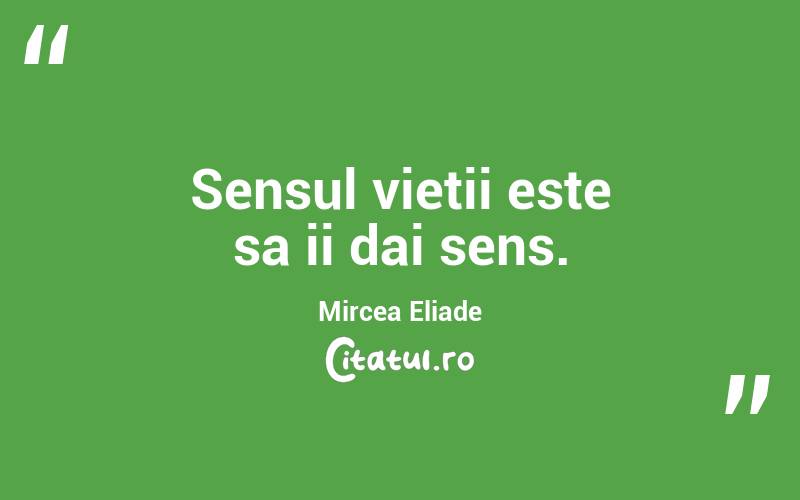 Sensul vietii este sa ii dai sens. Mircea Eliade
