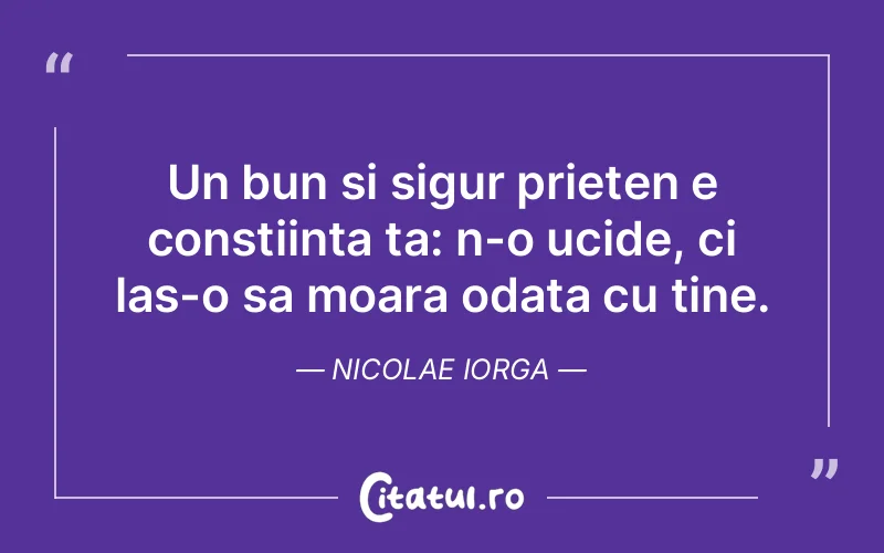 Citat Nicolae Iorga - citate prietenie