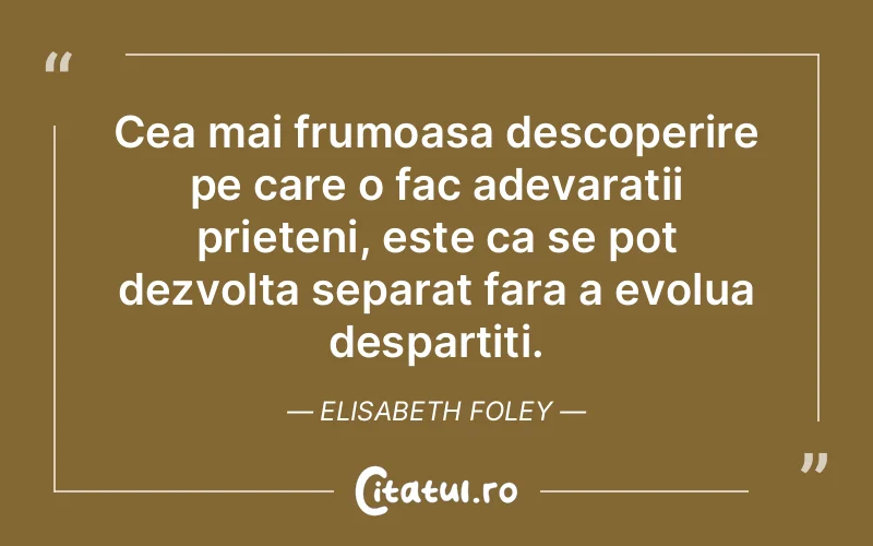 Citat Elisabeth Foley - citate prietenie