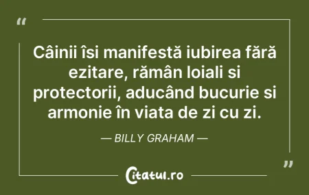 Câinii își manifestă iubirea fără ...