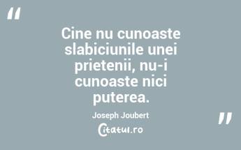 Cine nu cunoaste slabiciunile unei prietenii, nu-i cunoaste nici puterea. Joseph Joubert...