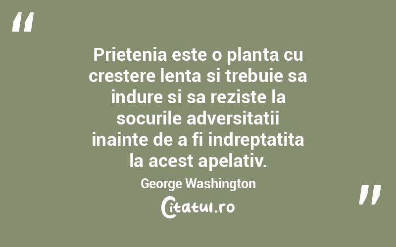 Prietenia este o planta cu crestere lenta si trebuie sa indure si sa reziste la socurile adversitatii inainte de a fi indreptatita la acest apelativ. George Washington