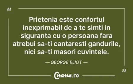 Prietenia este confortul inexprimabil de...