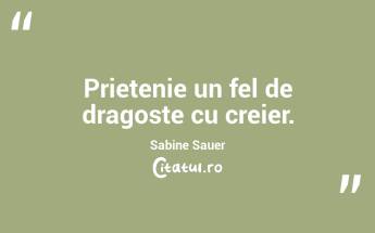 Prietenie un fel de dragoste cu creier. Sabine Sauer...