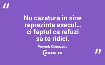 Nu cazatura in sine reprezinta esecul… ci faptul ca refuzi sa te ridici. Proverb Chinezesc...