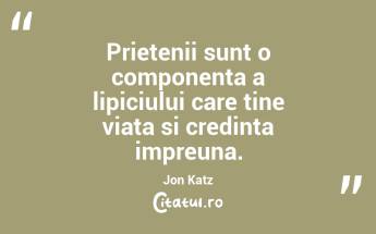 Prietenii sunt o componenta a lipiciului care tine viata si credinta impreuna. Jon Katz...