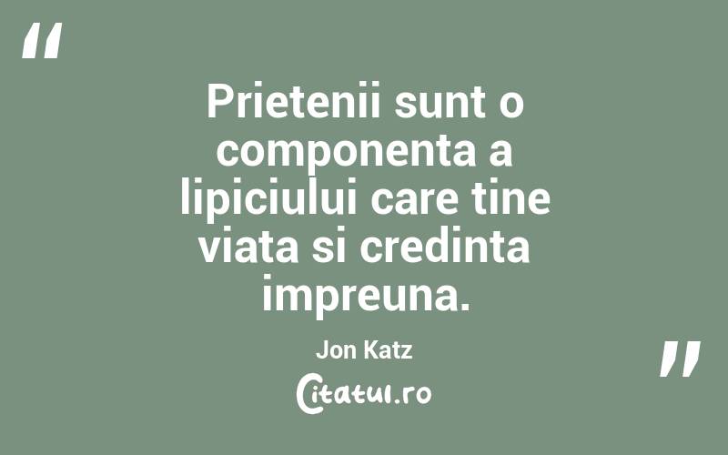 Prietenii sunt o componenta a lipiciului care tine viata si credinta impreuna. Jon Katz

