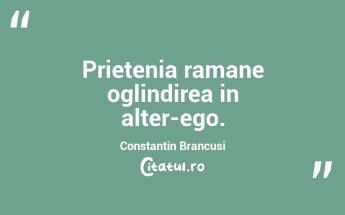 Prietenia ramane oglindirea in alter-ego. Constantin Brancusi...