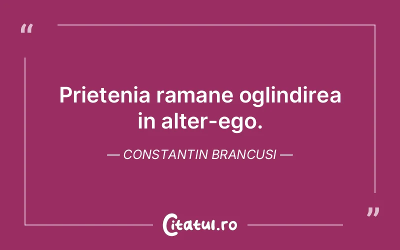 Citat Constantin Brancusi - citate prietenie