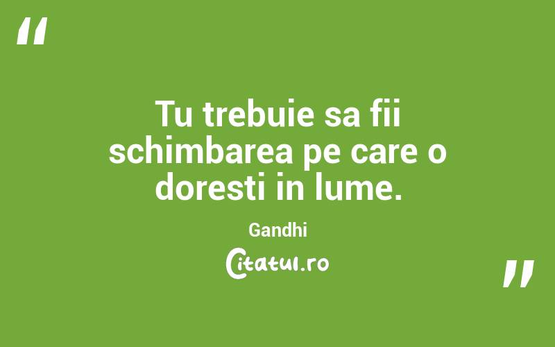 Tu trebuie sa fii schimbarea pe care o doresti in lume. Gandhi
