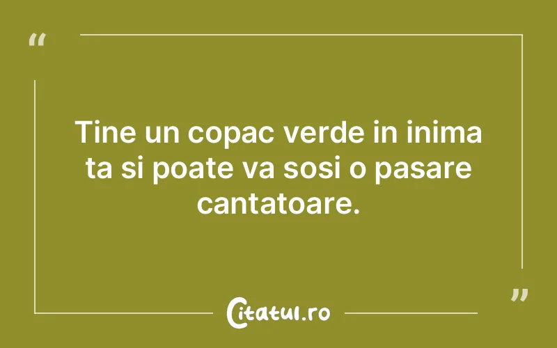 Citat Autor necunoscut - citate prietenie