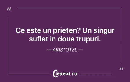 Ce este un prieten? Un singur suflet in ...