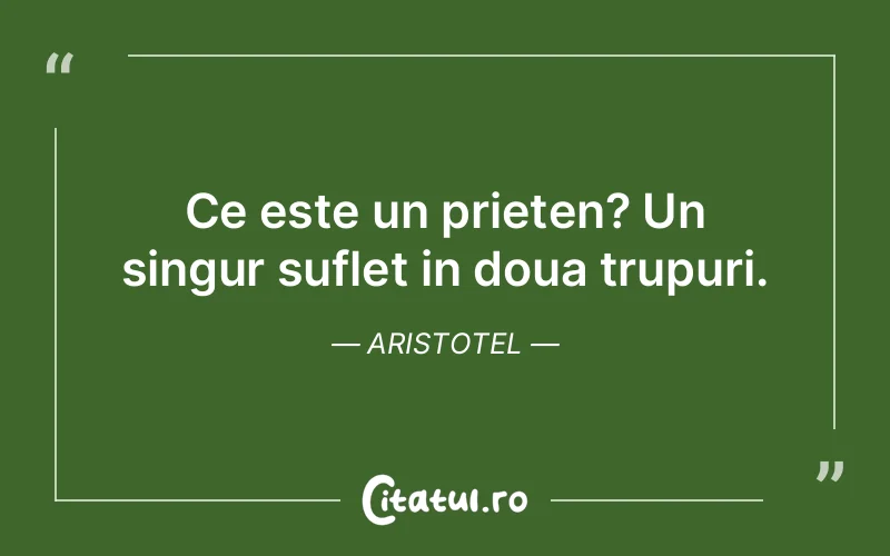 Citat Aristotel - citate prietenie