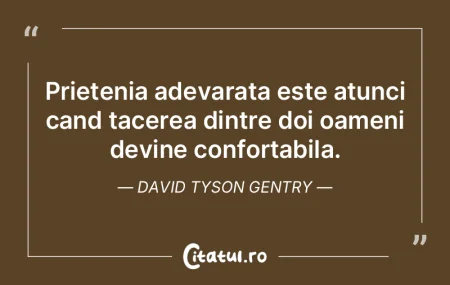 Prietenia adevarata este atunci cand tac...