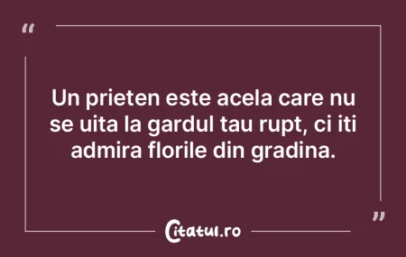 Un prieten este acela care nu se uita la...
