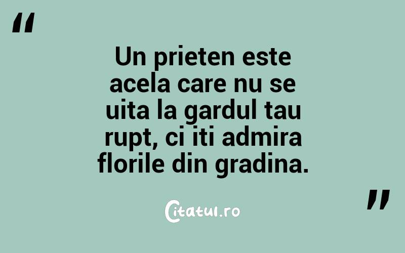 Un prieten este acela care nu se uita la gardul tau rupt, ci iti admira florile din gradina.  