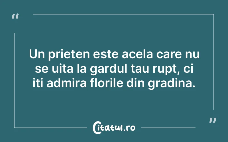 Citat Autor necunoscut - citate prietenie