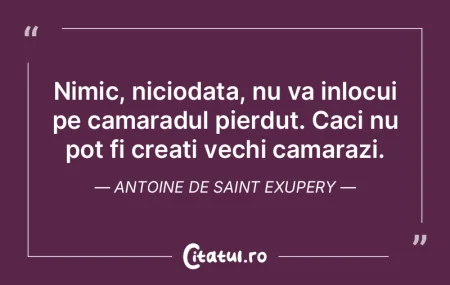 Nimic, niciodata, nu va inlocui pe camar...