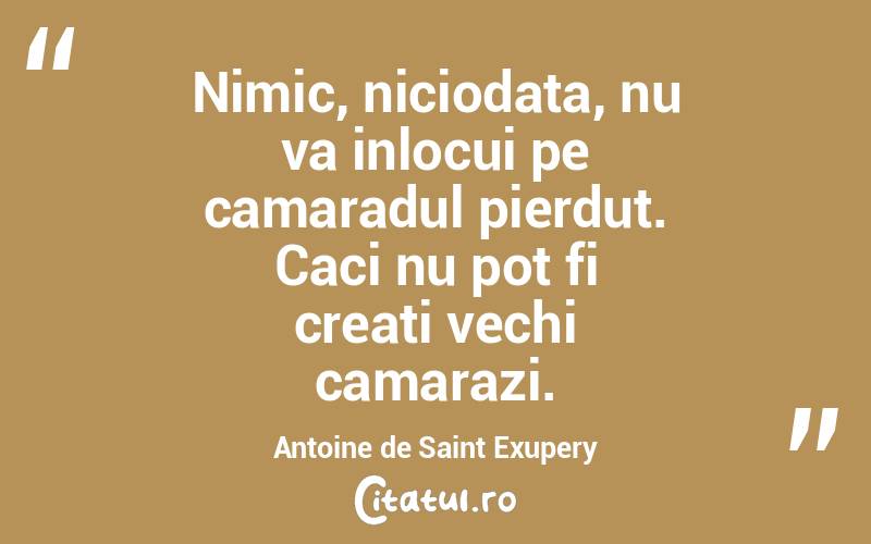 Nimic, niciodata, nu va inlocui pe camaradul pierdut. Caci nu pot fi creati vechi camarazi. Antoine de Saint Exupery