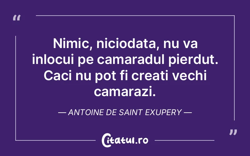 Citat Autor necunoscut - citate prietenie