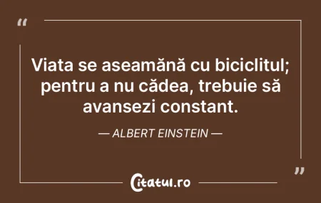 Viața se aseamănă cu biciclitul; pent...