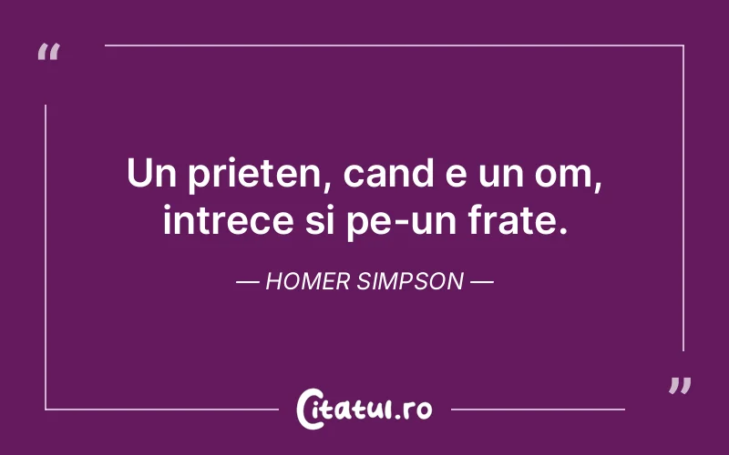 Citat Homer Simpson - citate prietenie