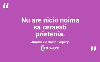 Nu are nicio noima sa cersesti prietenia. Antoine de Saint Exupery...