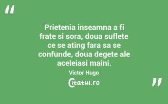 Prietenia inseamna a fi frate si sora, doua suflete ce se ating fara sa se confunde, doua degete ale aceleiasi maini. Victor Hugo...