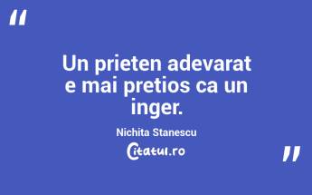 Un prieten adevarat e mai pretios ca un inger. Nichita Stanescu...