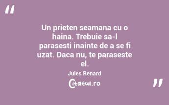Un prieten seamana cu o haina. Trebuie sa-l parasesti inainte de a se fi uzat. Daca nu, te paraseste el. Jules Renard...