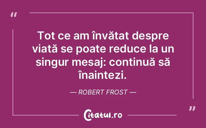 Citat Robert Frost - citate prietenie