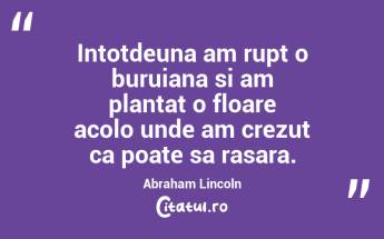 Intotdeuna am rupt o buruiana si am plantat o floare acolo unde am crezut ca poate sa rasara. Abraham Lincoln...