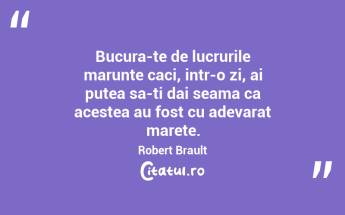 Bucura-te de lucrurile marunte caci, intr-o zi, ai putea sa-ti dai seama ca acestea au fost cu adevarat marete. Robert Brault...