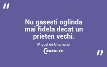 Nu gasesti oglinda mai fidela decat un prieten vechi. Miguel de Unamuno...