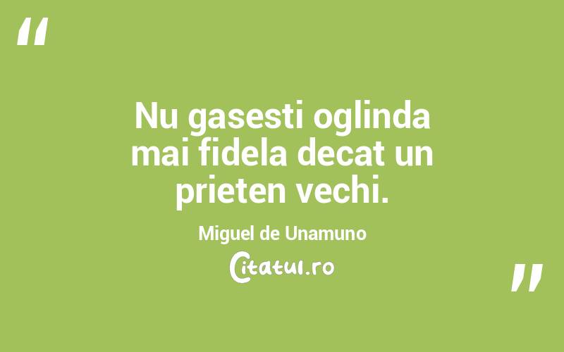 Nu gasesti oglinda mai fidela decat un prieten vechi. Miguel de Unamuno