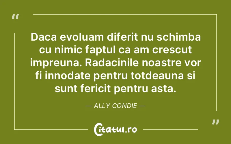 Citat Ally Condie - citate prietenie