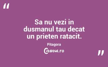Sa nu vezi in dusmanul tau decat un prieten ratacit. Pitagora...
