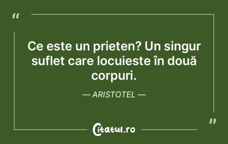 Ce este un prieten? Un singur suflet car...