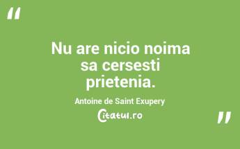 Nu are nicio noima sa cersesti prietenia. Antoine de Saint Exupery...