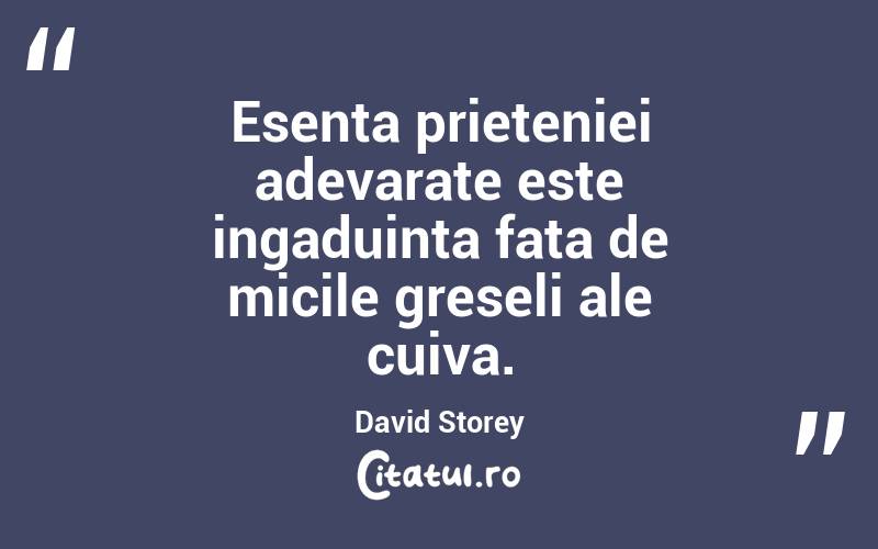 Esenta prieteniei adevarate este ingaduinta fata de micile greseli ale cuiva. David Storey