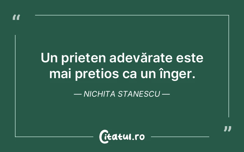 Citat Nichita Stanescu - citate prietenie