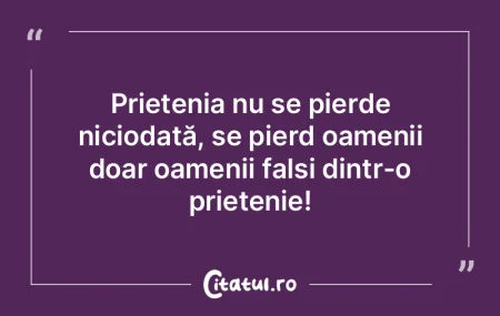 Prietenia nu se pierde niciodată, se pi...