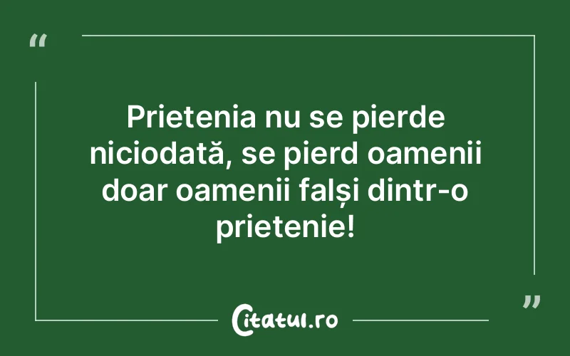 Citat Autor necunoscut - citate prietenie