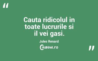 Cauta ridicolul in toate lucrurile si il vei gasi. Jules Renard...