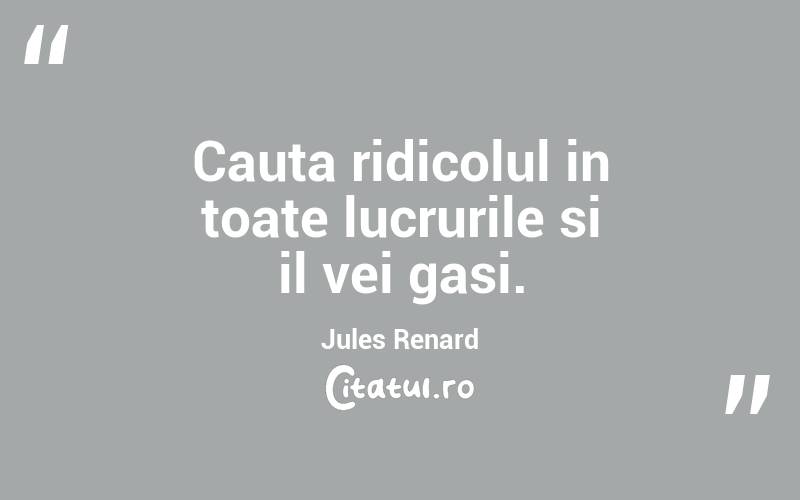 Cauta ridicolul in toate lucrurile si il vei gasi. Jules Renard