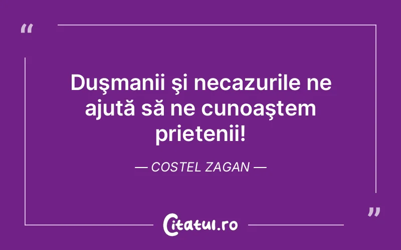 Citat Costel Zagan - citate prietenie